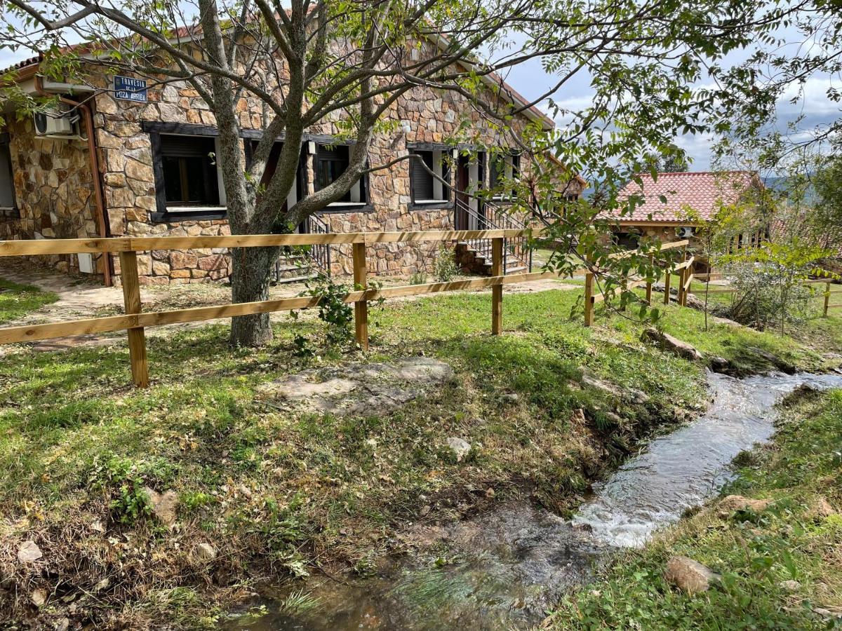 Apartamentos Los Pocillos 가르가니티야 델 로조야 외부 사진